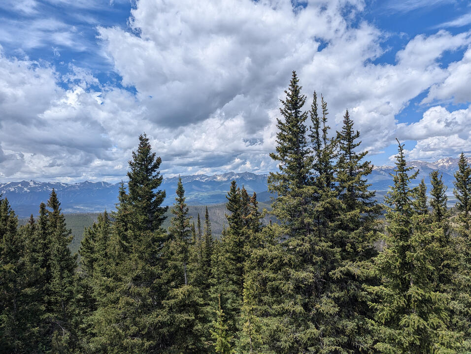 Beautiful views from a summer hike!