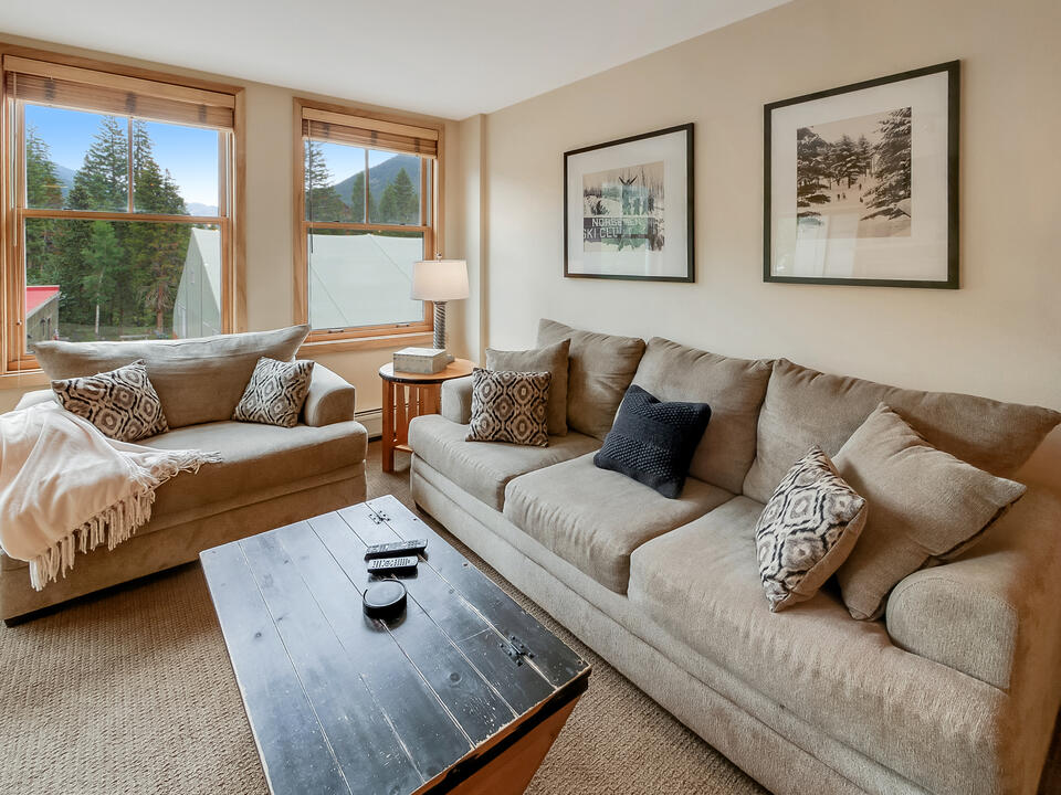 Living room with sofa-sleeper